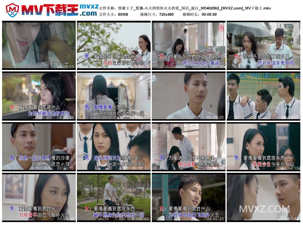 情歌王子_紫薇-火火的情怀火火的爱_国语_流行_MD402562